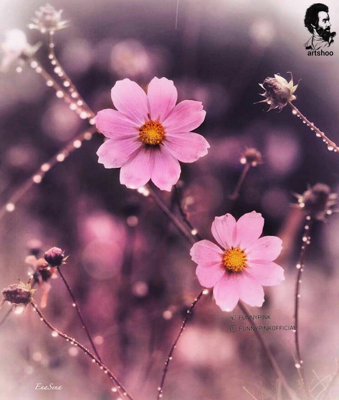 آموزش نقاشی رنگ روغن